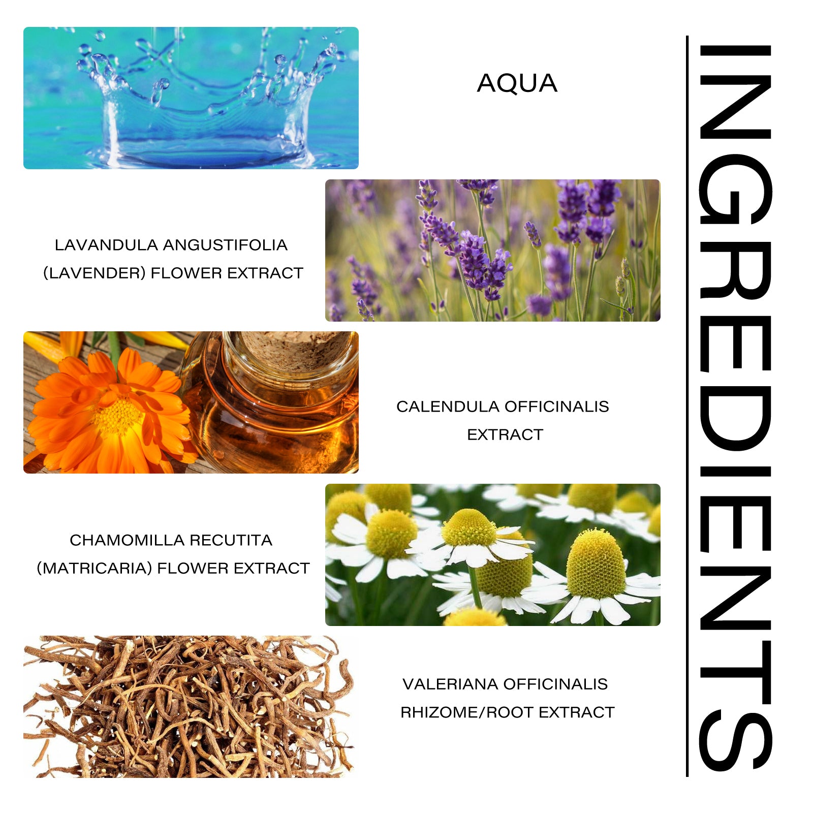 Lavender Sleep Cream – Calming Bedtime Balm
